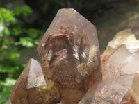 Natural Red Hematoid Quartz Crystals  x 6 From Karoi, Zimbabwe - TopRock