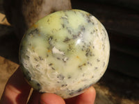 Polished Extra Large Dendritic Opal Palm Stones  x 6 From Madagascar - Toprock Gemstones and Minerals 