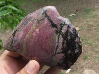 Polished One Side Polished Rhodonite Free Forms  x 5 From Madagascar - TopRock