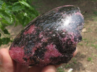 Polished One Side Polished Rhodonite Free Forms  x 5 From Madagascar - TopRock