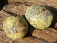 Polished Extra Large Dendritic Opal Palm Stones  x 6 From Madagascar - Toprock Gemstones and Minerals 