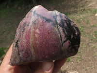 Polished One Side Polished Rhodonite Free Forms  x 5 From Madagascar - TopRock