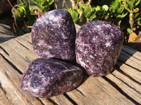 Polished Lepidolite Standing Free Forms (2) & Free Form (1) x 3 From Zimbabwe