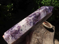 Polished Large Purple Lepidolite Point  x 1 From Madagascar - TopRock