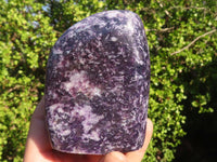 Polished Lepidolite Standing Free Forms (2) & Free Form (1) x 3 From Zimbabwe