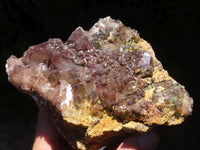 Natural Red Hematite Quartz Specimens  x 2 From Karoi, Zimbabwe - TopRock