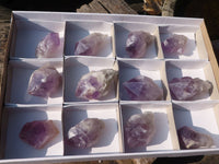 Natural Single Jacaranda Amethyst Crystals  x 12 From Zambia - Toprock Gemstones and Minerals 