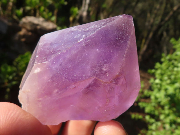 Natural Single Jacaranda Amethyst Crystals  x 12 From Zambia - Toprock Gemstones and Minerals 