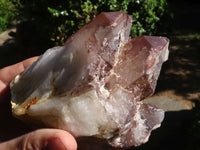 Natural Red Hematite Quartz Specimens  x 2 From Karoi, Zimbabwe - TopRock