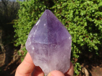 Natural Single Jacaranda Amethyst Crystals  x 12 From Zambia - Toprock Gemstones and Minerals 