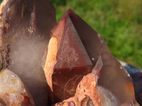 Natural Red Hematite Phantom Quartz Cluster x 1 From Karoi, Zimbabwe - TopRock