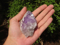 Natural Single Jacaranda Amethyst Crystals  x 12 From Zambia - Toprock Gemstones and Minerals 