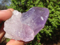 Natural Single Jacaranda Amethyst Crystals  x 12 From Zambia - Toprock Gemstones and Minerals 