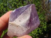 Natural Single Jacaranda Amethyst Crystals  x 12 From Zambia - Toprock Gemstones and Minerals 