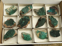 Natural Micro Botryoidal Crystalline Malachite Specimens  x 12 From Tenke Fungurume, Congo - TopRock