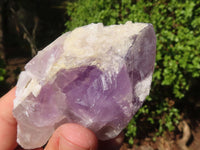 Natural Single Jacaranda Amethyst Crystals  x 12 From Zambia - Toprock Gemstones and Minerals 