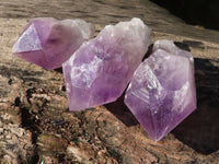 Natural Single Jacaranda Amethyst Crystals  x 12 From Zambia - Toprock Gemstones and Minerals 