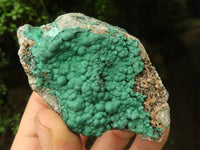 Natural Micro Botryoidal Crystalline Malachite Specimens  x 12 From Tenke Fungurume, Congo - TopRock