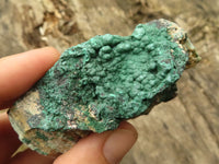 Natural Micro Botryoidal Crystalline Malachite Specimens  x 12 From Tenke Fungurume, Congo - TopRock