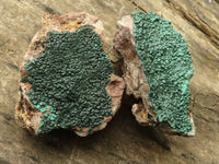 Natural Micro Botryoidal Crystalline Malachite Specimens  x 12 From Tenke Fungurume, Congo - TopRock