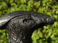 Polished Black Soapstone Dinosaur Carving x 1 From Zimbabwe