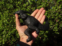 Polished Black Soapstone Dinosaur Carving x 1 From Zimbabwe