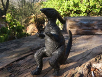 Polished Black Soapstone Dinosaur Carving x 1 From Zimbabwe