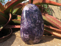 Polished Lepidolite Standing Free Forms x 3 From Zimbabwe - TopRock