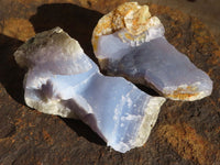 Natural Blue Lace Agate Geode Specimens  x 12 From Nsanje, Malawi