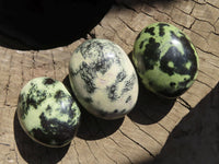 Polished Leopardstone Galets x 12 From Inyanga, Zimbabwe