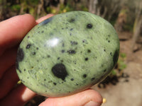 Polished Leopardstone Galets x 12 From Inyanga, Zimbabwe