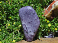 Polished Gem Lithium Mica Lepidolite Display Free Forms x 6 From Zimbabwe - TopRock