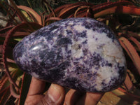 Polished Lepidolite Standing Free Forms x 3 From Zimbabwe - TopRock