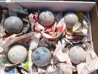 Polished Spotted Blue Spinel Quartz Spheres  x 6 From Madagascar - Toprock Gemstones and Minerals 