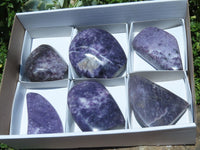 Polished Gem Lithium Mica Lepidolite Display Free Forms x 6 From Zimbabwe - TopRock