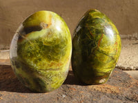 Polished Green Opal Standing Free Forms  x 6 From Madagascar