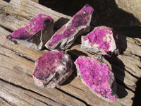 Natural Pink Salrose Cobaltion Dolomite Specimens  x 5 From Kakanda, Congo