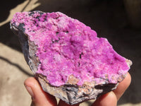 Natural Pink Salrose Cobaltion Dolomite Specimens  x 5 From Kakanda, Congo