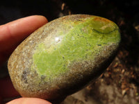 Polished Green Opal Standing Free Forms  x 6 From Madagascar