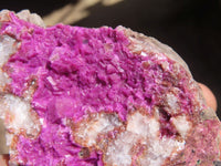 Natural Pink Salrose Cobaltion Dolomite Specimens  x 5 From Kakanda, Congo