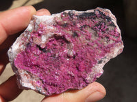 Natural Pink Salrose Cobaltion Dolomite Specimens  x 5 From Kakanda, Congo