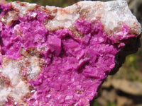 Natural Pink Salrose Cobaltion Dolomite Specimens  x 5 From Kakanda, Congo