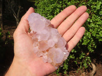 Natural Spirit Amethyst Cactus Quartz Clusters  x 6 From Boekenhouthoek, South Africa - Toprock Gemstones and Minerals 