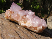 Natural Spirit Amethyst Cactus Quartz Clusters  x 6 From Boekenhouthoek, South Africa - Toprock Gemstones and Minerals 