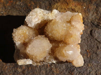 Natural Golden Limonite Spirit Quartz Clusters x 12 From Boekenhouthoek, South Africa