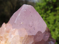 Natural Spirit Amethyst Cactus Quartz Clusters  x 6 From Boekenhouthoek, South Africa - Toprock Gemstones and Minerals 