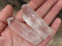 Natural Single Clear Quartz Crystals  x 47 From Madagascar - TopRock