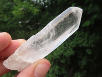 Natural Single Clear Quartz Crystals  x 47 From Madagascar - TopRock