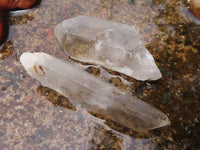 Natural Single Clear Quartz Crystals  x 47 From Madagascar - TopRock