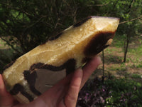 Polished Septarian (Calcite & Aragonite) Points x 2 From Madagascar - TopRock